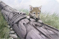 Wolf Pup & Pole